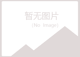 灵台县紫山能源有限公司